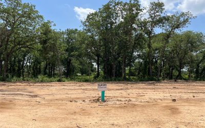 Sold | 445 Peace Lily Way, Tolar, TX 76476