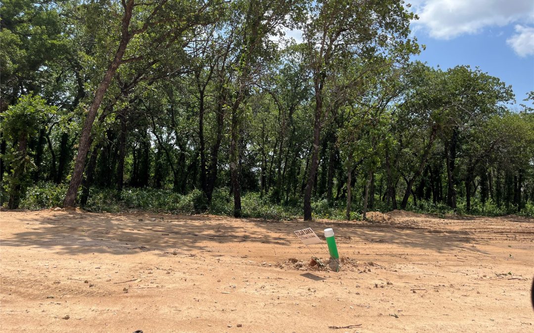 Sold | 429 Peace Lily Way, Tolar, TX 76476