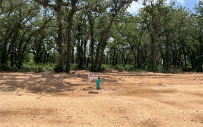 Sold | 437 Peace Lily Way, Tolar, TX 76476