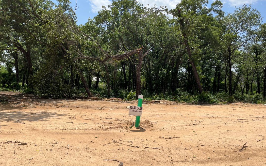 Sold | 425 Peace Lily Way, Tolar, TX 76476
