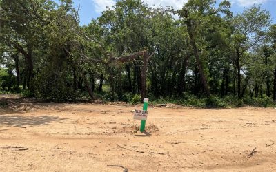 Sold | 425 Peace Lily Way, Tolar, TX 76476