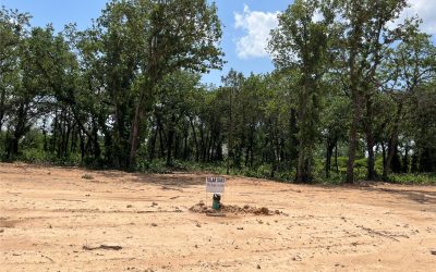 Sold | 441 Peace Lily Way, Tolar, TX 76476